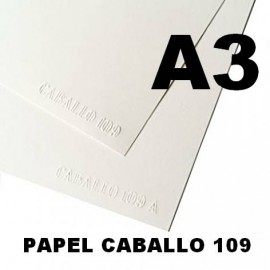 Papel Caballo 109-250gr A3