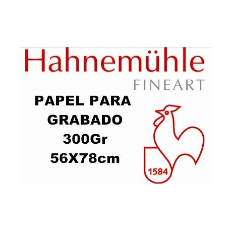 Papel Hahnemuhle 300gr 56x78cm