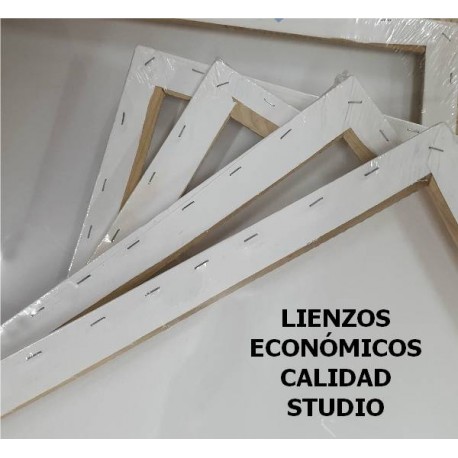 Lienzo -3D 30x90cm STUDIO