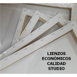 Lienzo -3D 20x60cm STUDIO